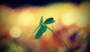 注塑部各岗位职责及工作内容,注塑部是干啥的