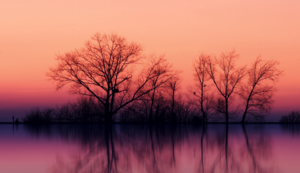 模具部年度工作总结范文,2019模具部年终总结