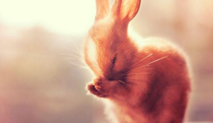 模具部年度工作总结范文,2019模具部年终总结